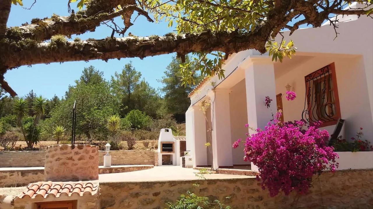 Villa Great Paradise San José Eksteriør billede